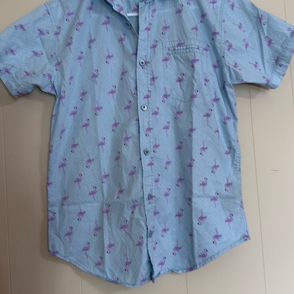 Fresh Light Blue Flamingo Print Button Down Shirt